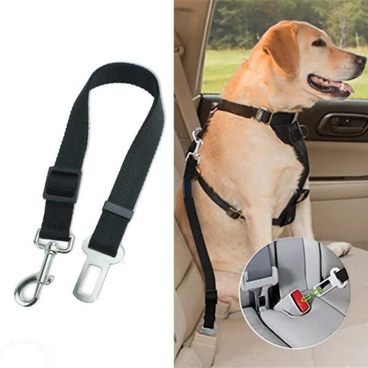 PACK 2 CINTURON DE SEGURIDAD MASCOTAS